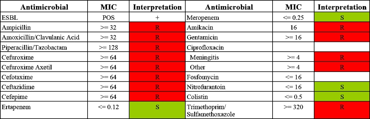 E.coli MIC