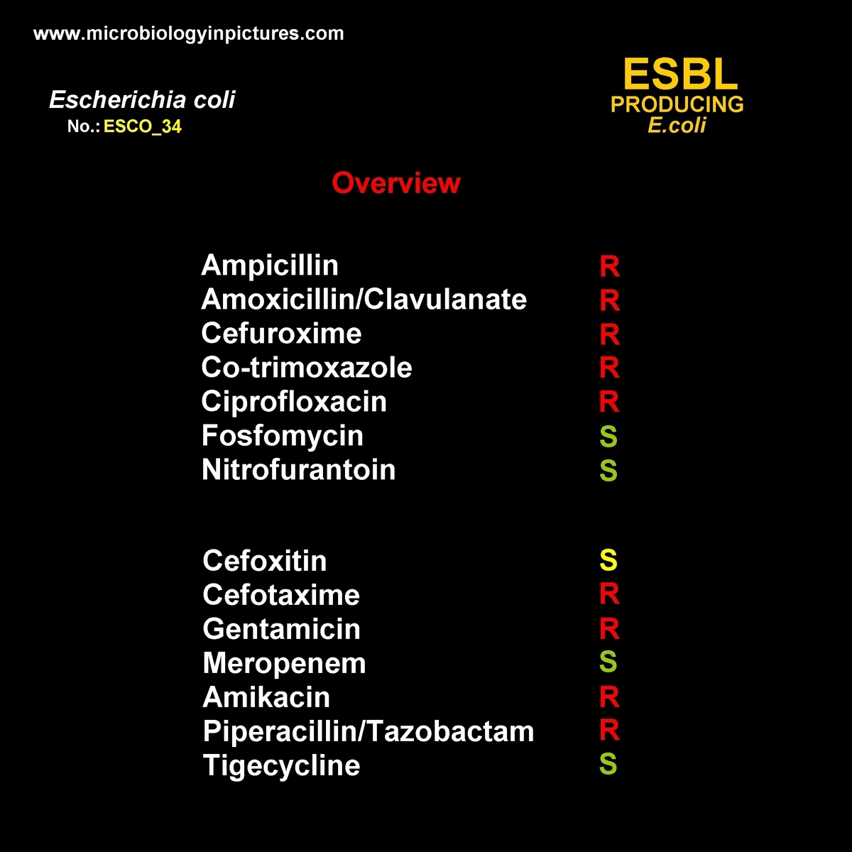 resistance summary