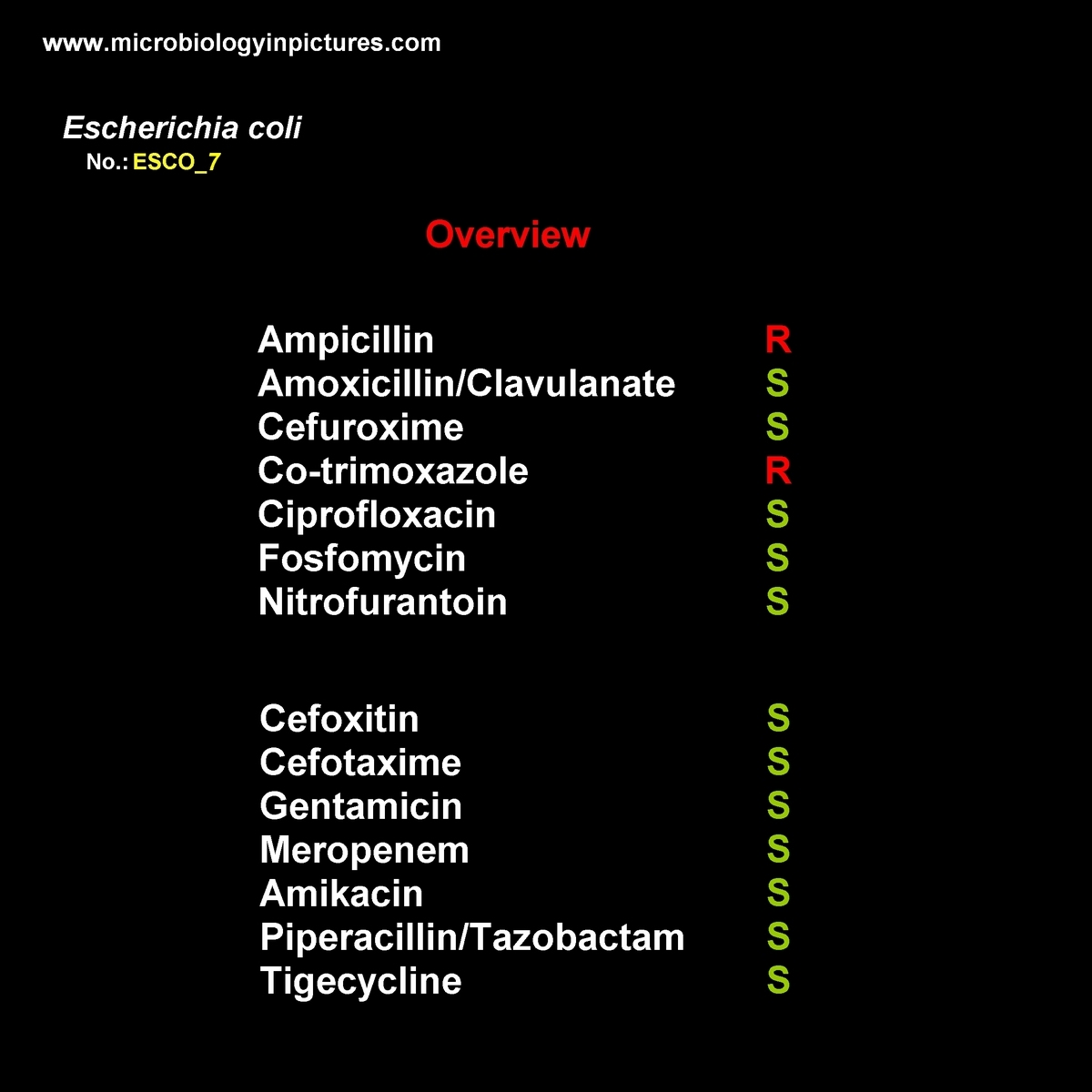 resistance summary