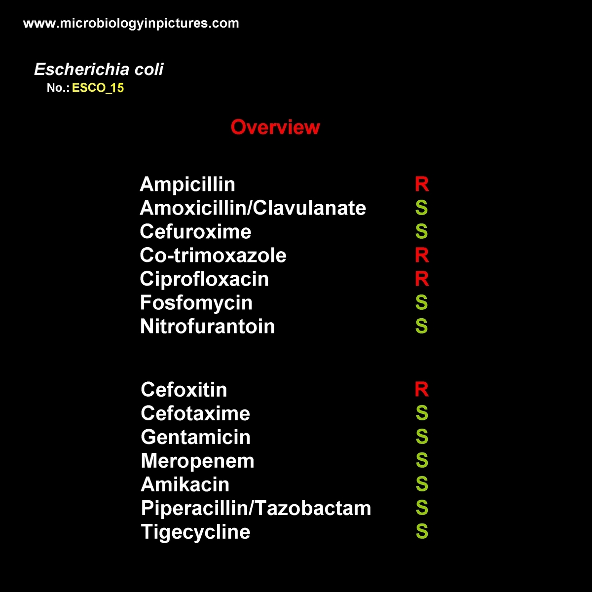 resistance summary