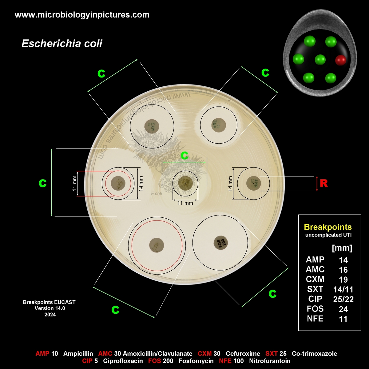 reading of zones