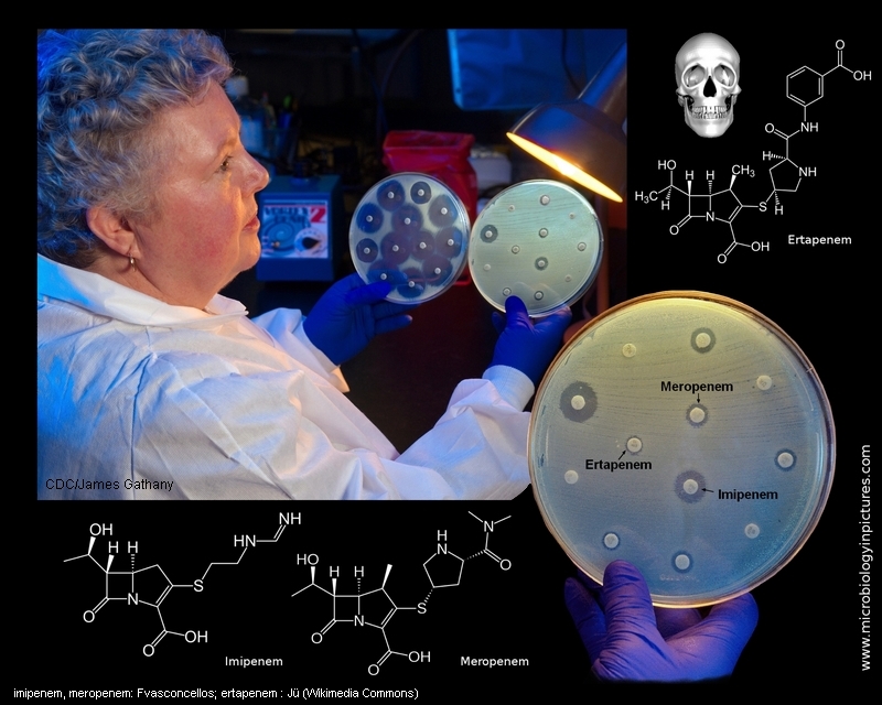 resistant CRE bacteria