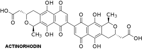 actinorhodin structure