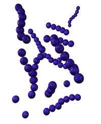 beta-hemolytic strep