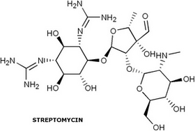 streptomycin