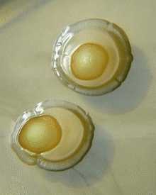 colonies of bacterial twins