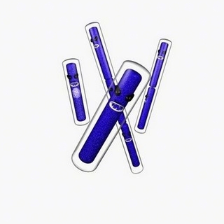 bacillus anthracis