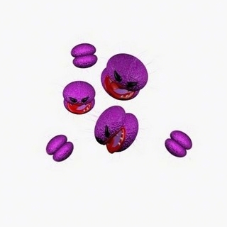 gonococcus, Neisseria gonorrhoeae