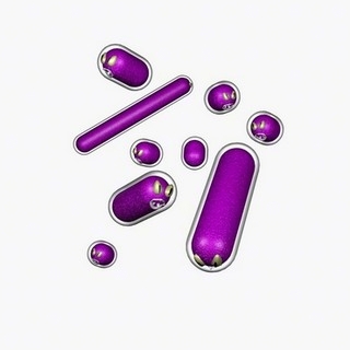 haemophilus influenzae Hib