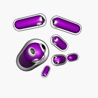 klebsiella pneumoniae