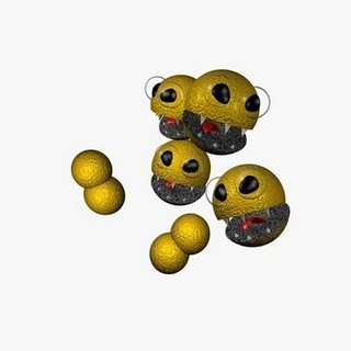 staphylococcus