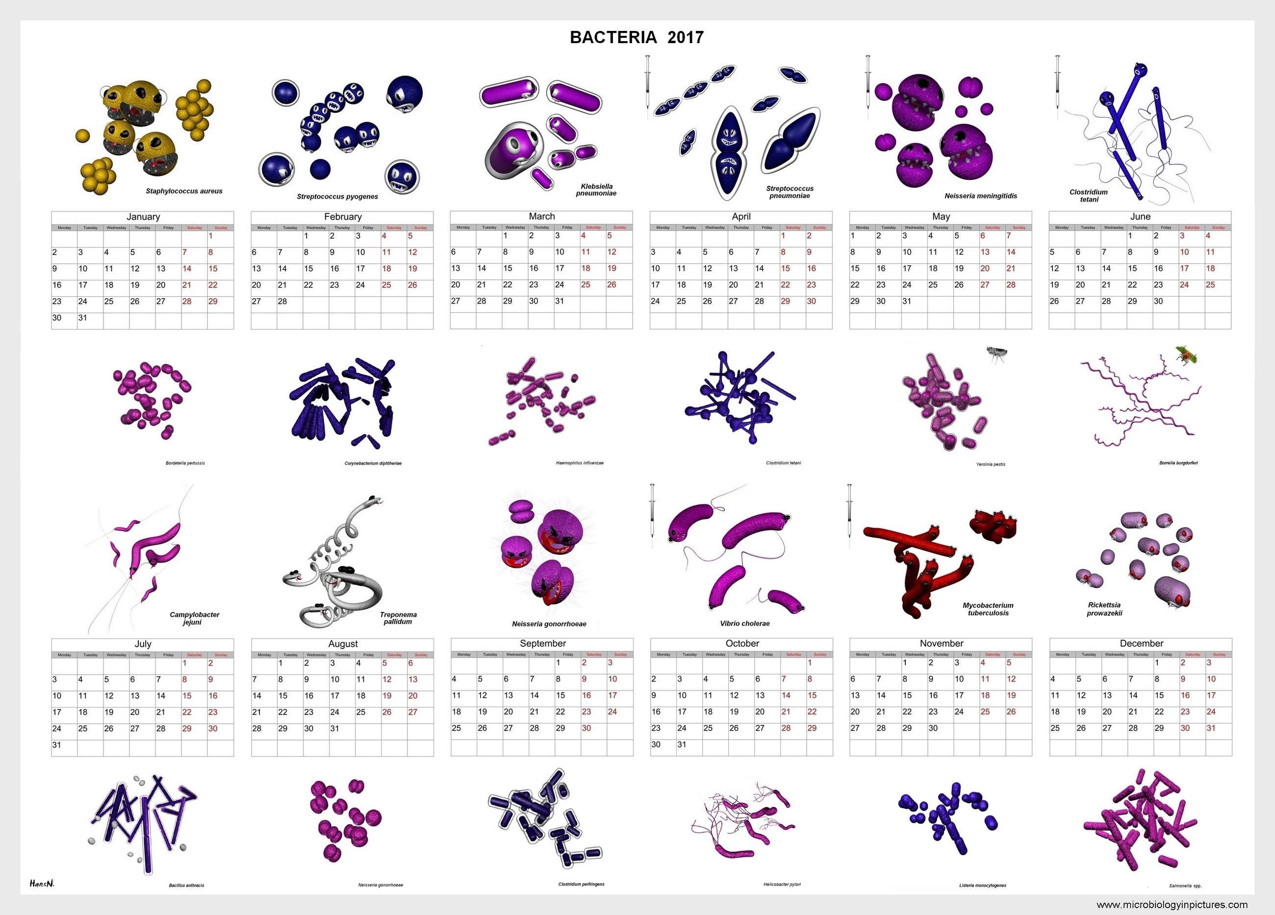 Calendar 2017 bacteria calendar 2017