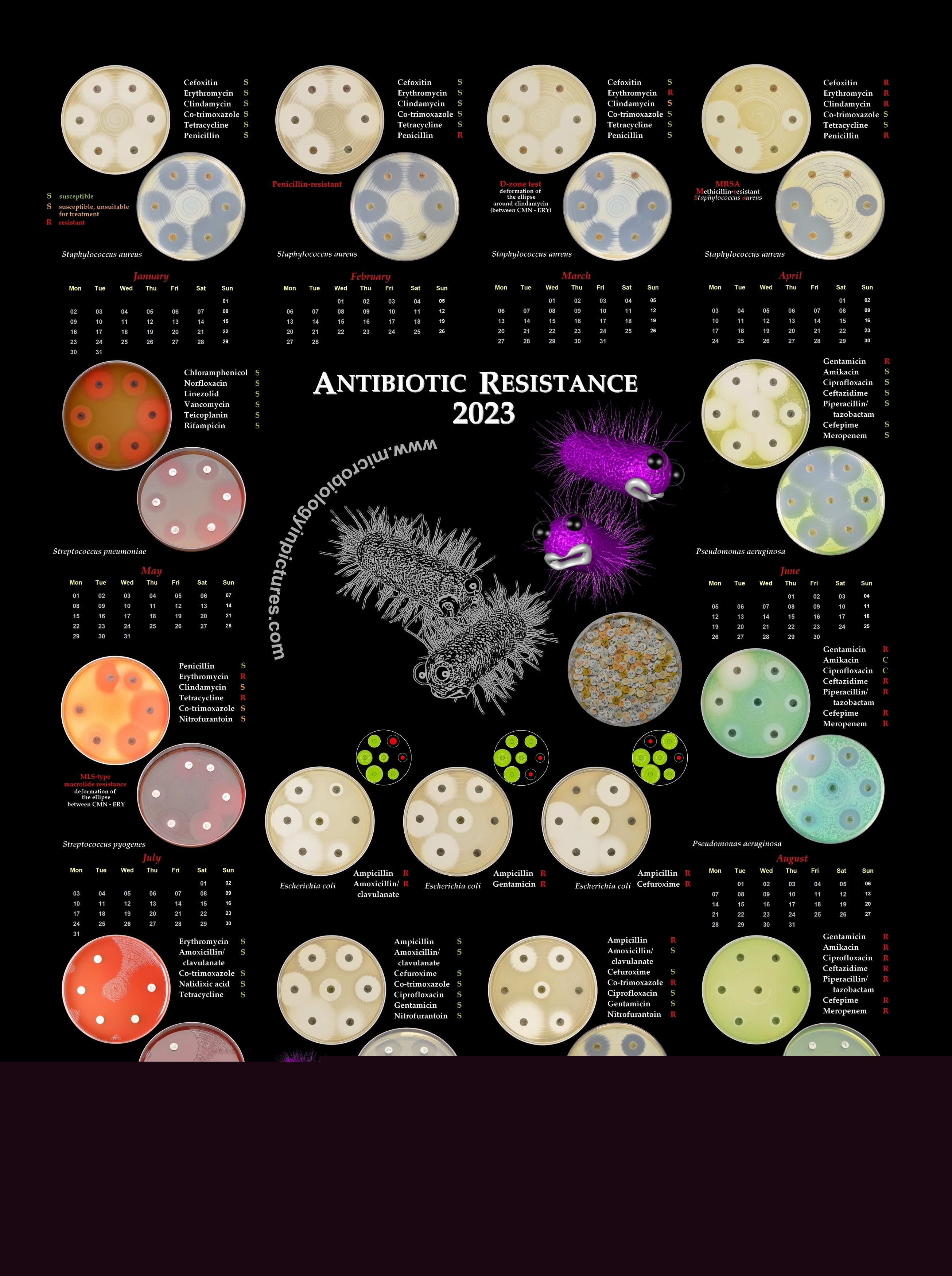 calendar antibiotic resistance