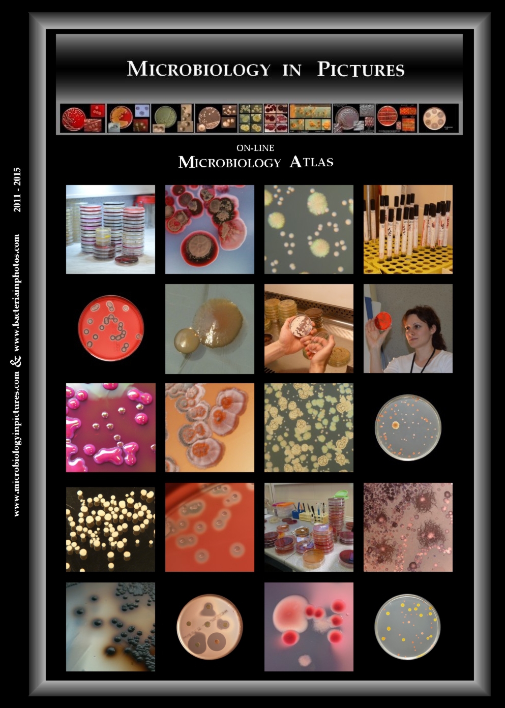microbiology and bacteriology atlas
