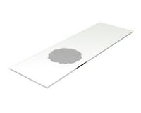 bacterial smear