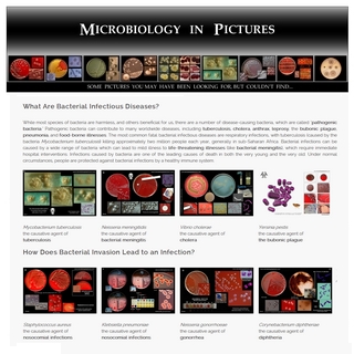 introduction to pathogenic bacteria