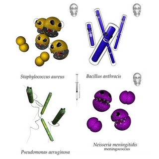 vaccination against bacteria