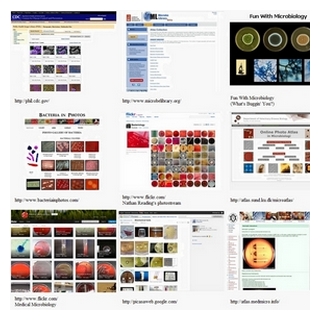useful links