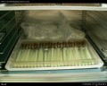mycobacterium tuberculosis on Ogawa and L�wenstein-Jensen medium