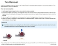 how to remove a tick