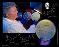 carbapenem resistant bacteria on agar in Petri dish