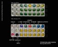 klebsiella pneumoniae tests for identification