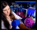 a Petri dish culture plate that demonstrated growth of Klebsiella pneumoniae